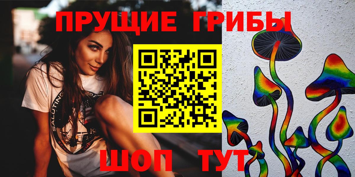 дарнет шоп  Вход с VPN  Киреевск  Галлюциногенные грибы прущие грибы 