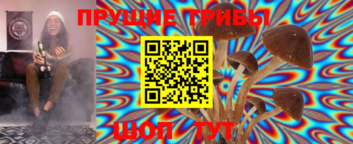 Псилоцибиновые грибы ЛСД  Киреевск 